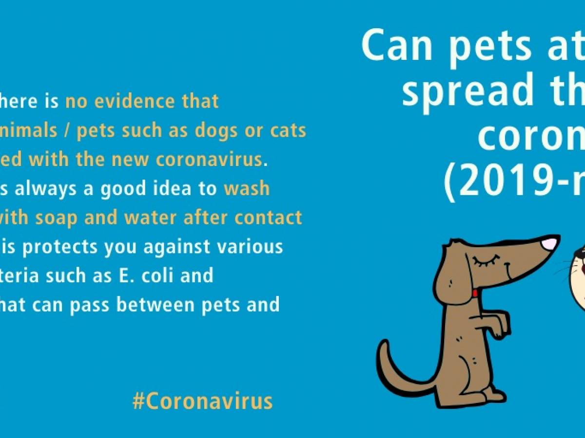 l'Oms conferma: gli animali da compagnia non trasmettono il Coronavirus